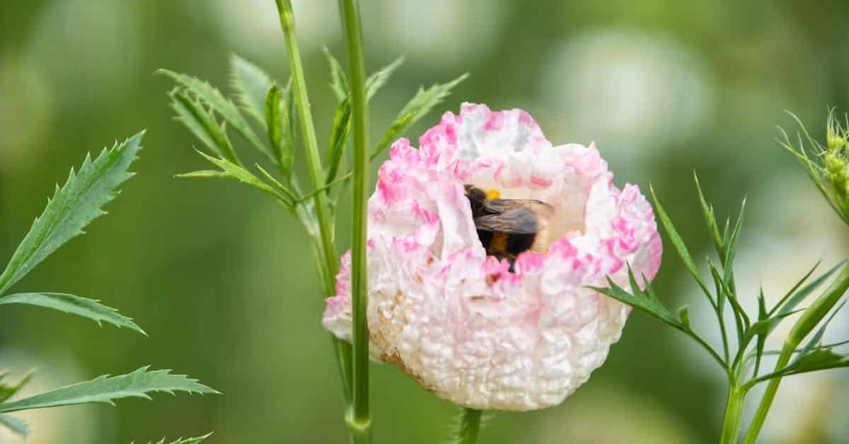 découvrez les réglementations environnementales essentielles qui garantissent la protection de notre planète. informez-vous sur les lois, normes et pratiques qui préservent les ressources naturelles et encouragent un développement durable pour les générations futures.