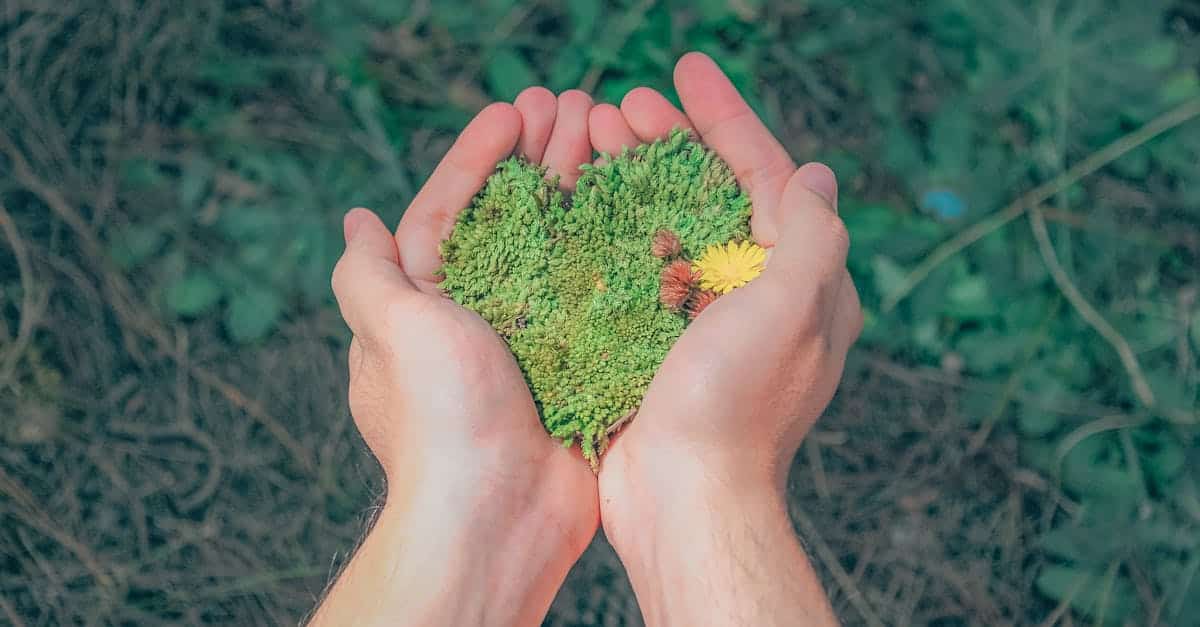 découvrez les principes de la durabilité, une approche essentielle pour préserver notre planète et assurer un avenir viable. explorez des pratiques éco-responsables et des initiatives qui favorisent l'harmonie entre l'homme et la nature.